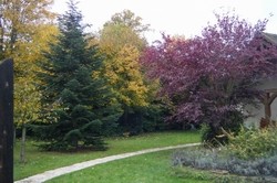 mairie de l'isle-adam